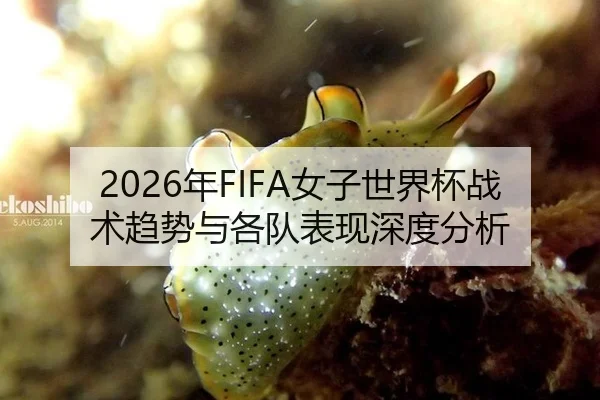 2026年FIFA女子世界杯战术趋势与各队表现深度分析