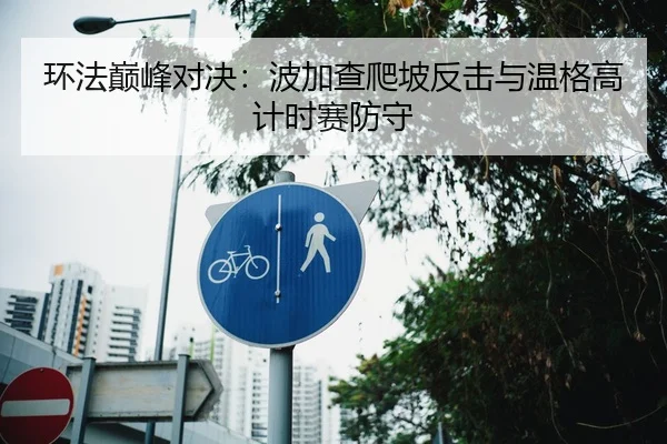 环法巅峰对决：波加查爬坡反击与温格高计时赛防守