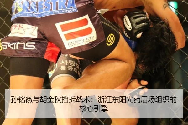 孙铭徽与胡金秋挡拆战术：浙江东阳光药后场组织的核心引擎