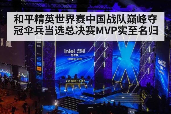 和平精英世界赛中国战队巅峰夺冠伞兵当选总决赛MVP实至名归